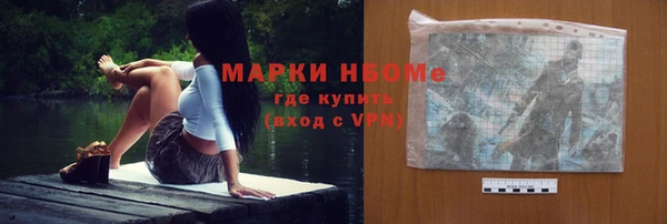 хмурый Алзамай