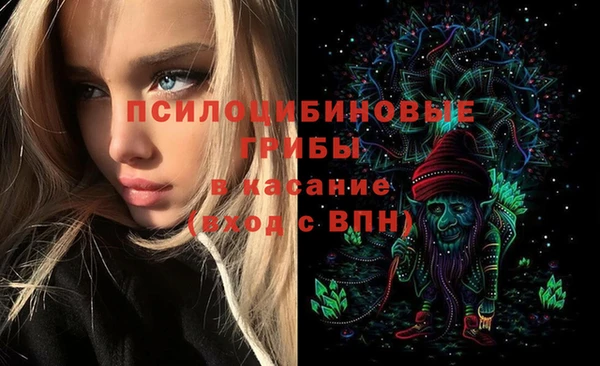 хмурый Алзамай