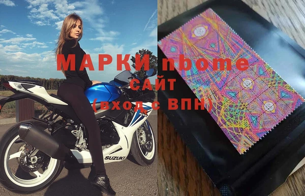 хмурый Алзамай